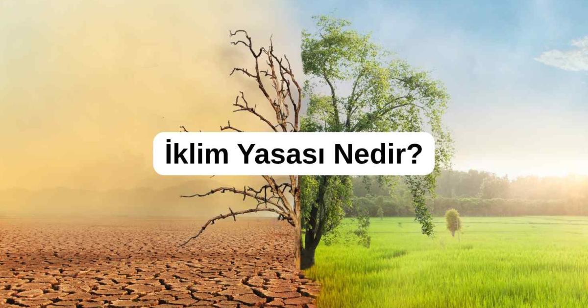 İklim Yasası Nedir?